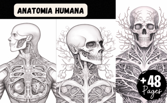 ANATOMIA HUMANA: Aprendizaje Visual con 48 Láminas para Colorear