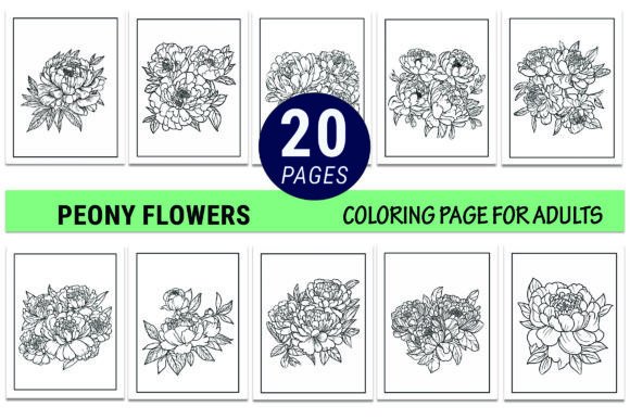 Peony Flower Line Drawing Coloring Pages